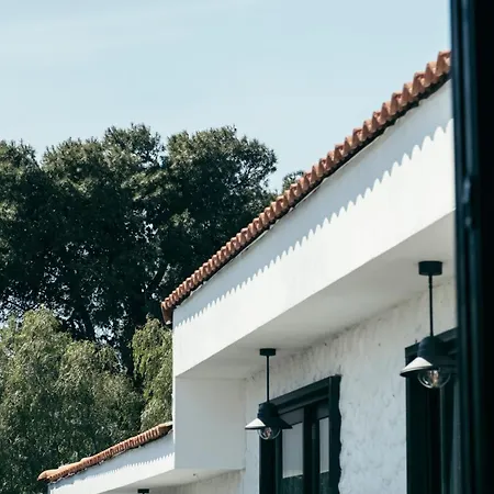 Primus Nefes Adult Only *