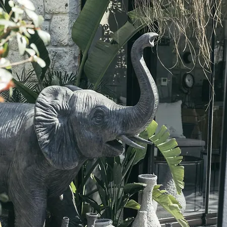 ホテル Primus Nefes Adult Only アラカティ