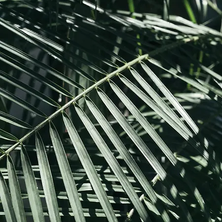 Primus Nefes Adult Only ホテル