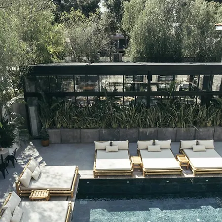 Primus Nefes Adult Only アラカティ