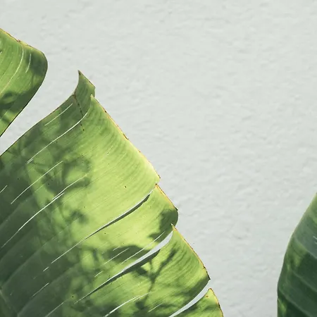 Primus Nefes Adult Only Hotel *