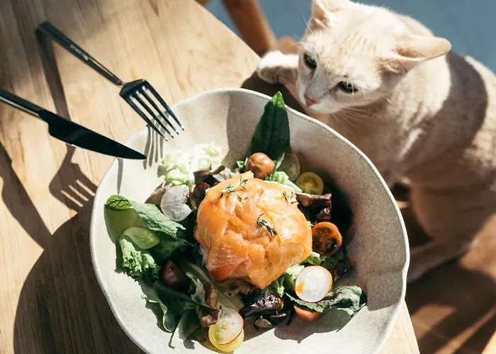 Primus Nefes Adult Only *