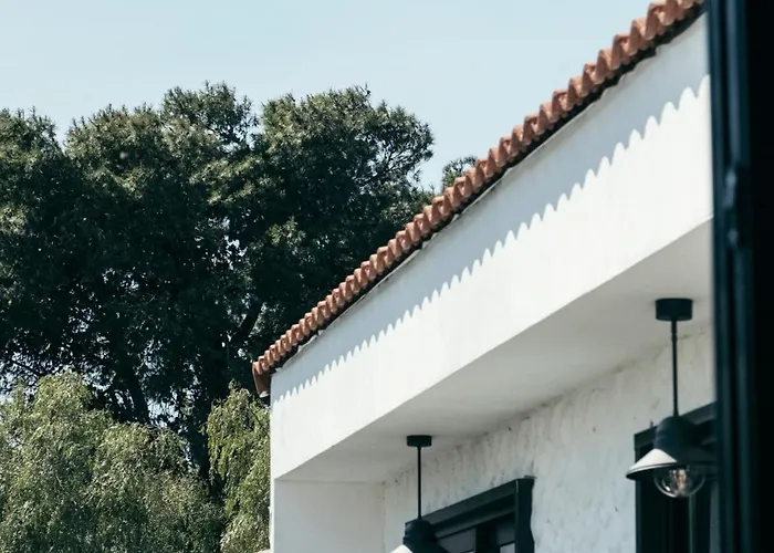 Primus Nefes Adult Only *