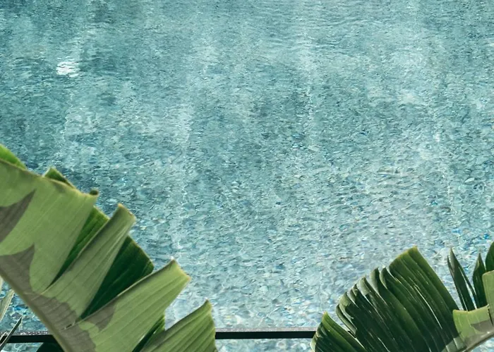 Primus Nefes Adult Only *